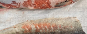 d7a604163d51ac072cb3e58a6f5f36f1.png