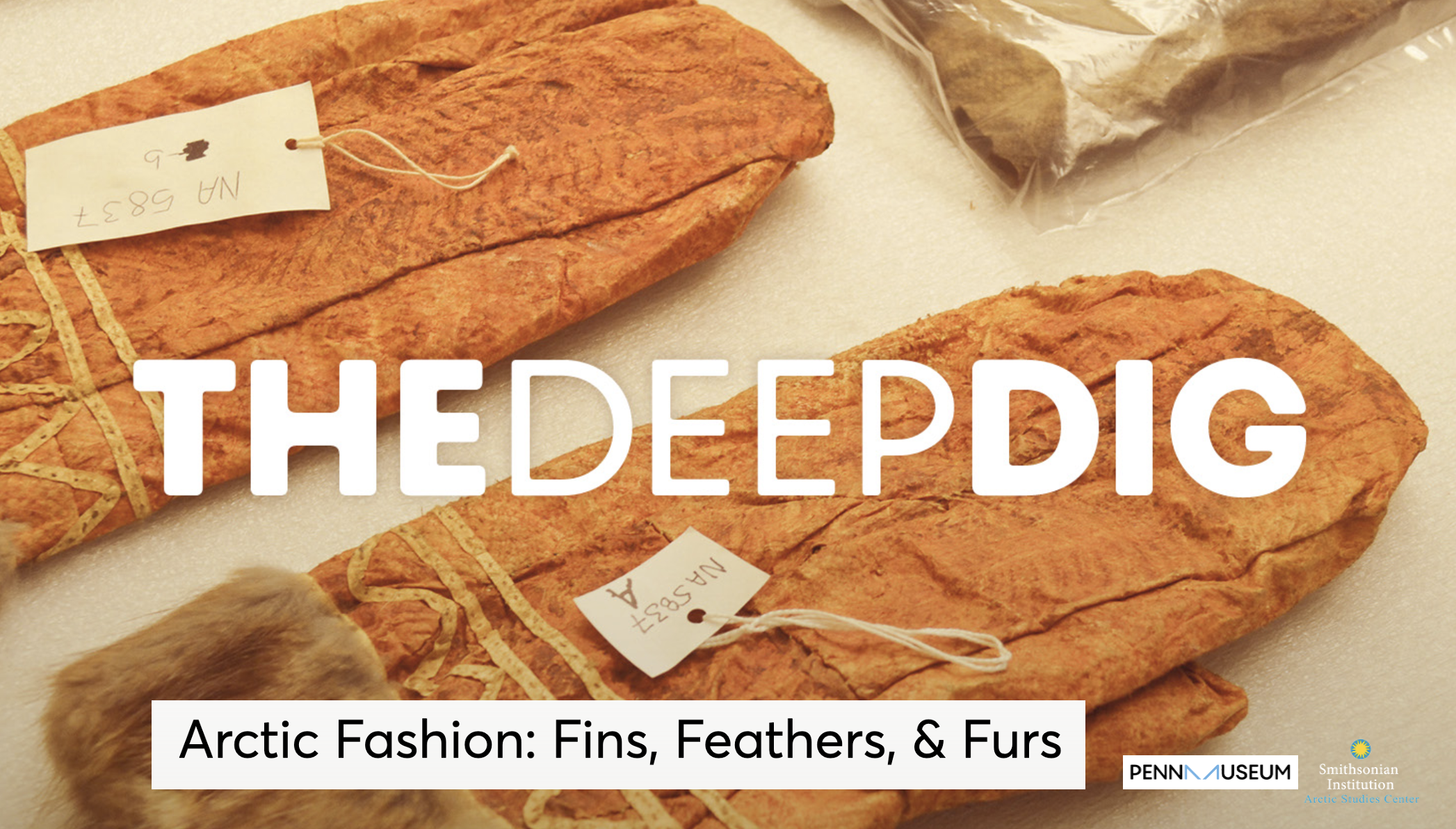 UPENN DEEP DIG SERIES