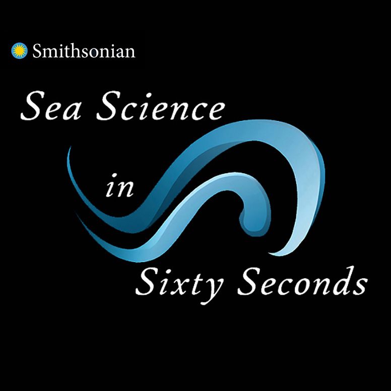 SEA SCIENCE IN SIXTY SECONDS
