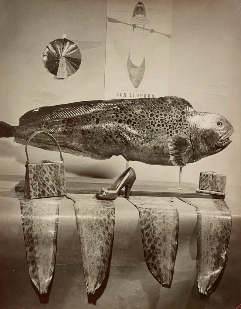 FONDAZIONE FERRAGAMO ARCHIVES